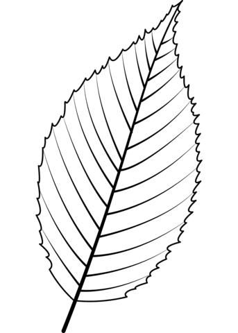 Blue Beech Leaf Coloring Page